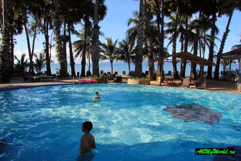 Бассейн отеля Paradise Beach на острове Самуи